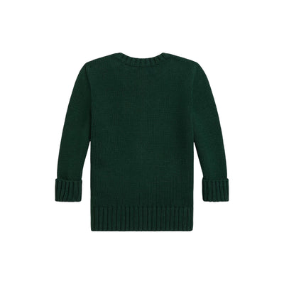 Maglione Neonato con Polo Bear Verde retro