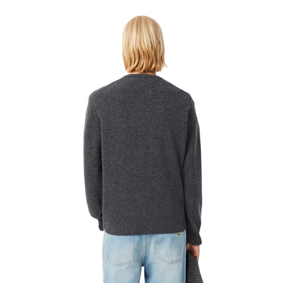 Maglione Uomo a girocollo in lana cardata Grigio modello retro