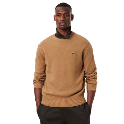 Maglione Uomo a girocollo in lana cardata Marrone modello frontale