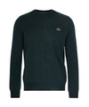 Pullover girocollo Uomo in cotone Verde scuro