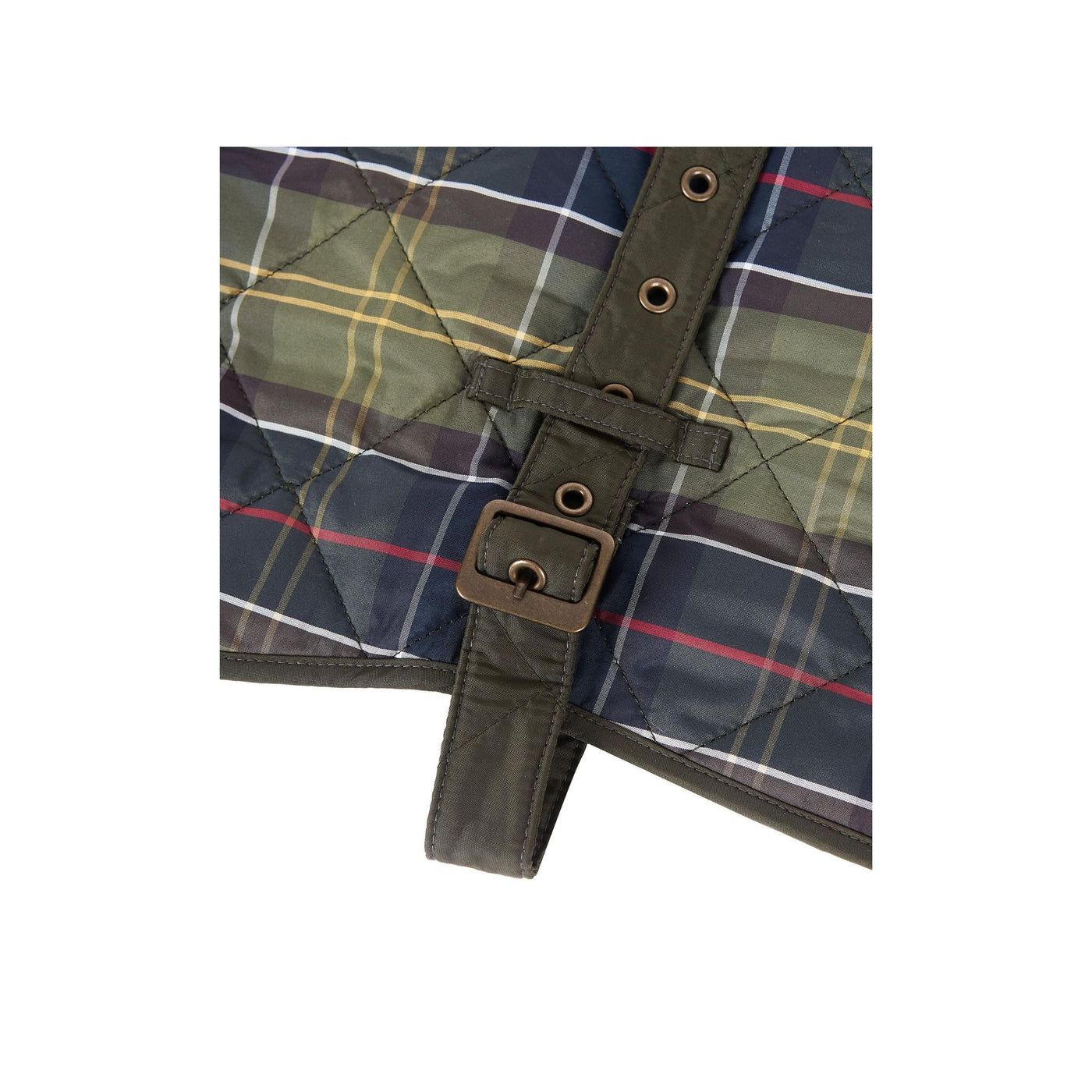 Immagine dettaglio ravvicinato cintura regolabile con fori