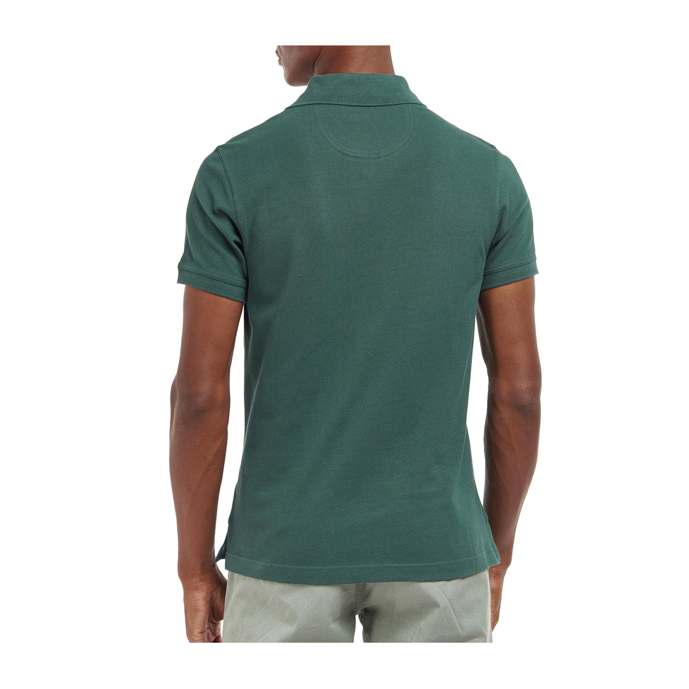 Polo Uomo in cotone in tinta unita Verde modello retro