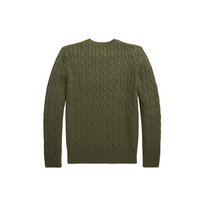 Maglione a trecce verde da bambino, Polo Ralph Lauren, retro