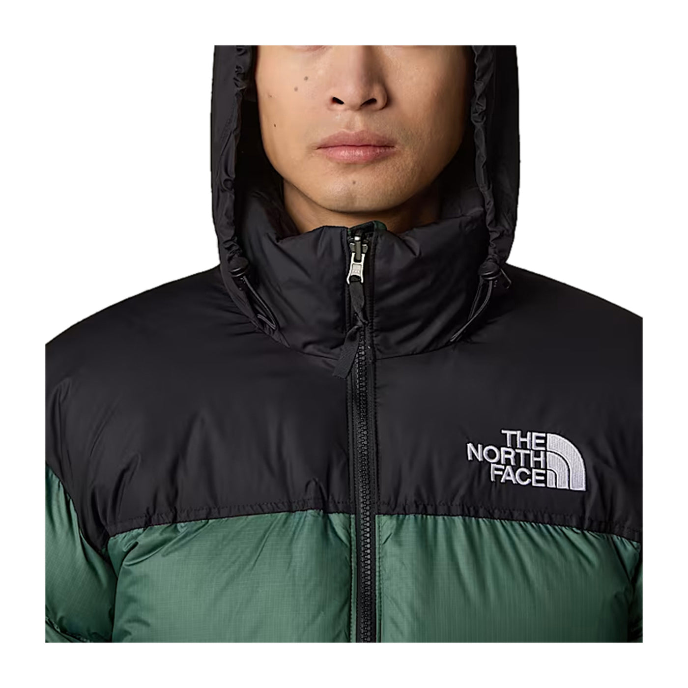 Giubbotto Uomo Retro Nuptse 1996 Bicolor modello frontale ravvicinato