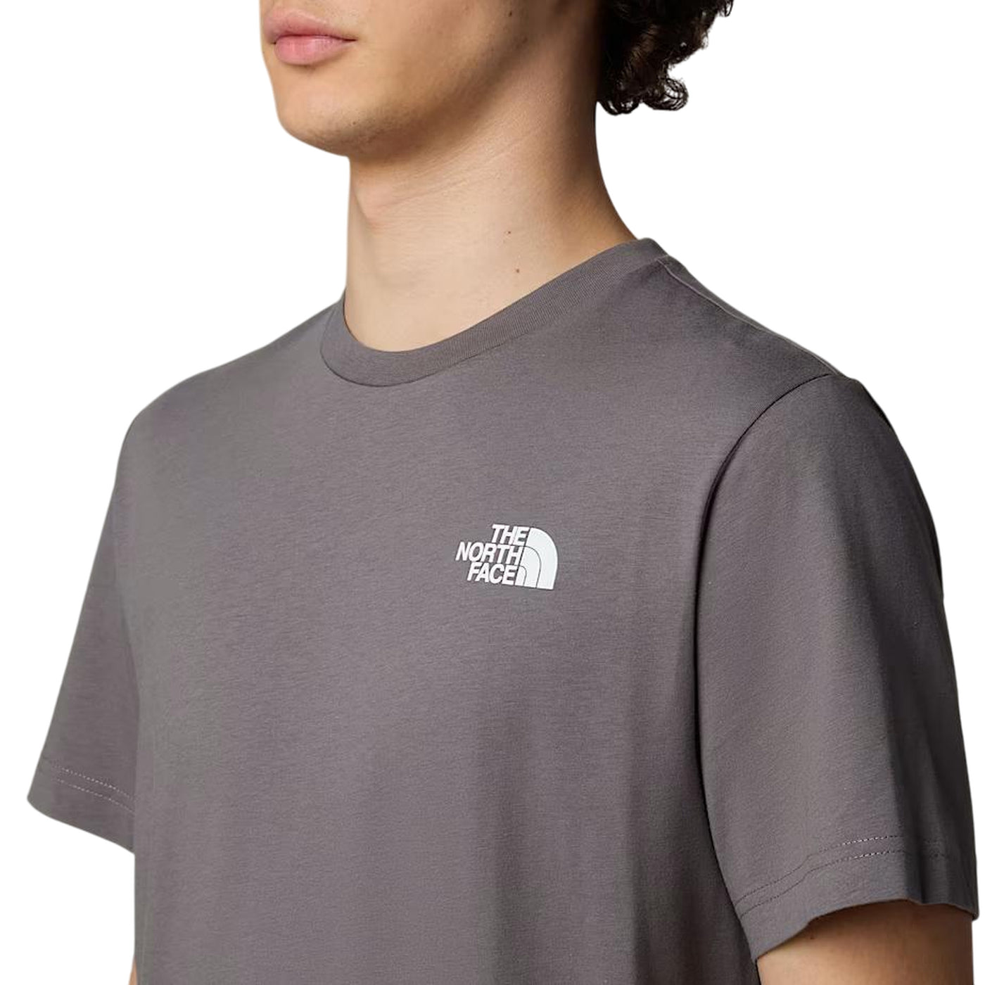 T-Shirt Uomo Grigia con Box sul retro modello frontale ravvicinato