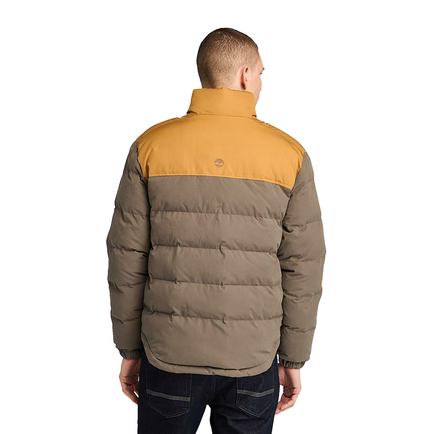 Welch Mountain Men's Down Jacket Brown and Yellow