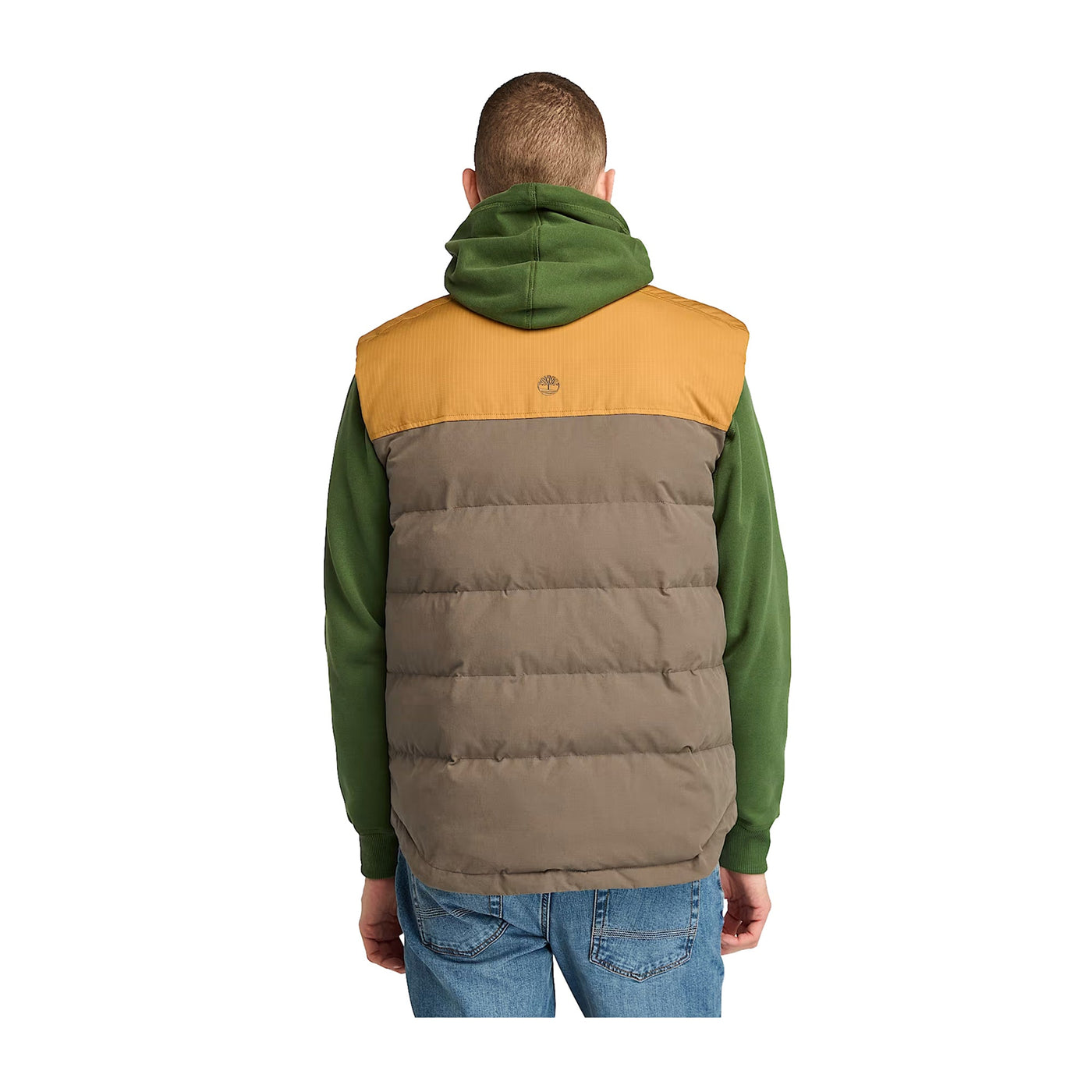 Gilet Uomo Imbottito Welch Mountain