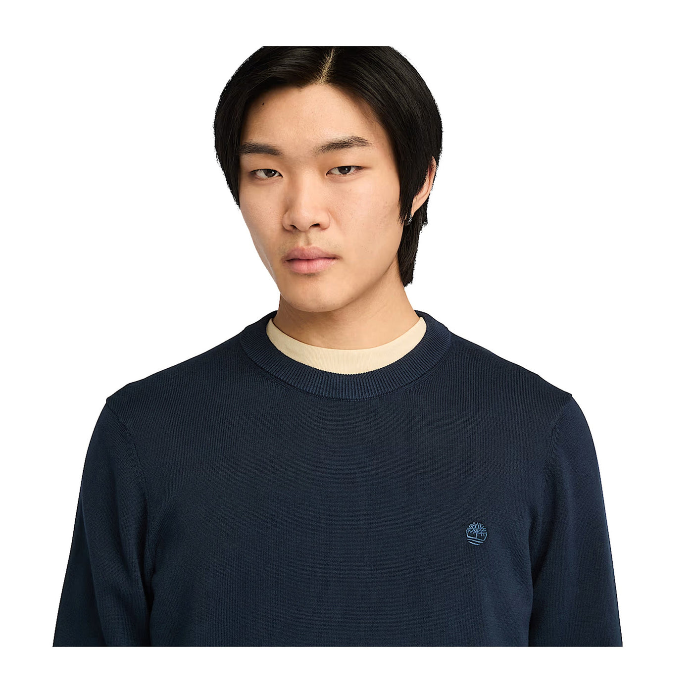 Maglione Uomo Williams River Blu scuro modello frontale ravvicinato 