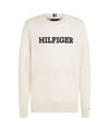 Men's sweater with large logo