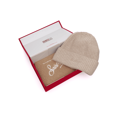 Christmas box mountain teddy