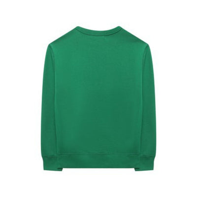 Felpa bambino verde Polo Ralph Lauren vista retro