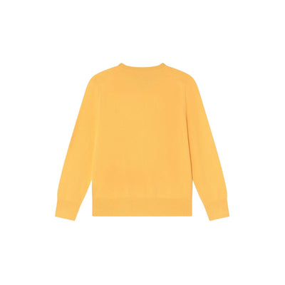 Felpa bambino gialla Polo Ralph Lauren vista retro