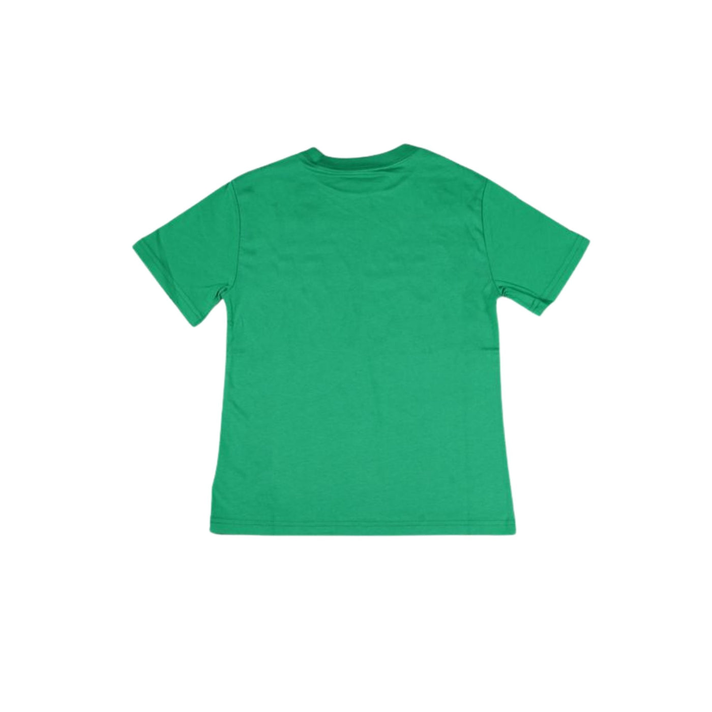 T-shirt verde con scritta Polo Ralph Lauren vista retro